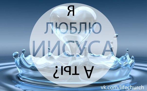 ���� �����������