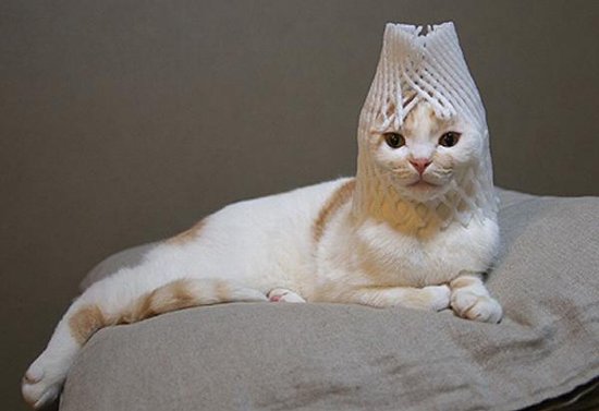 ����� �����